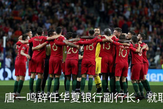 唐一鸣辞任华夏银行副行长，就职北京东城区