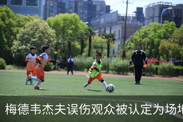 梅德韦杰夫误伤观众被认定为场地内鲁莽击球，因此直接判负